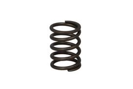 PARSUN Vožtuvo spyruoklė Valve Spring PARSUN F6-04050003 F6-04050003
