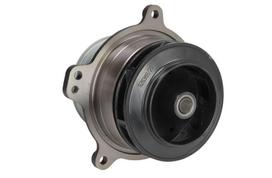 FPT Vandens siurblys Water Pump, engine cooling FPT 5801931147-FPT 5801931147-FPT