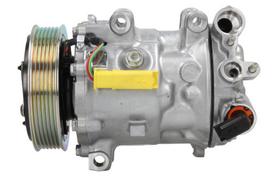 SANDEN Oro kondicionieriaus kompresorius Air conditioner compressor SANDEN SD7C16-1392 SD7C16-1392