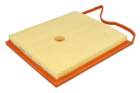 CNV Oro filtras Air cleaner CNV TA12174-CNV TA12174-CNV