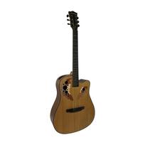 Akustinė gitara Toneberg TQ-PS