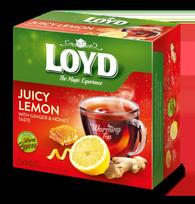 Vaisinės arbatos gėrimas LOYD imbiero ir, VZTLOY5900396037718