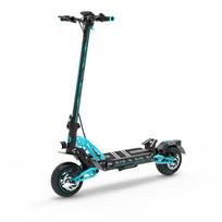 DriveTron DT10 1000W Electric Scooter For Adult 10 inch Vacuum Tire 48V15.6Ah Battery City Commuting E-Scooter With Double Brake