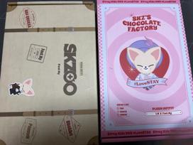 STRAY KIDS (Unopened) Fan Meeting MD Original Skige SKZOO Outfit Doll
