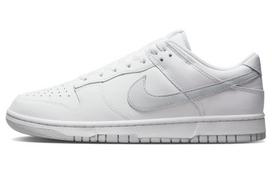 Nike Dunk Low Retro White Pure Platinum DV0831-101 40.5