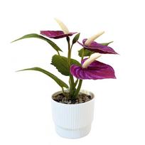 Multicolor Artificial Anthurium Bonsai Real Touch Soft Rubber Simulation Plant Desktop Ornament Photo Props Fake Flower violetinė