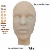 Mikroplastinės chirurgijos praktikos galvos forma su anatomija veido grožiui ir injekcijų mokymuisi 24 cm