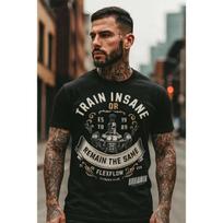 Train Insane or Remain The Same Spartan T-Shirt  Gym Motivation  Fitness & Bodybuilding Streetwear Tee S juoda