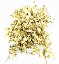 Akacijos žiedai Visos akacijos 1 kg 100% natūralūs Parduotuvė