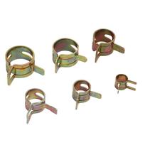 60Pcs Ear Hose Clamp with Plier Storage Box Labor Saving Portable Pipe Ear Clamp Kit for