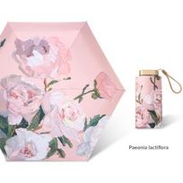 Oil Painting Umbrella Folding Rain Umbrella Travel Umbrella Small Umbrella Folding Umbrella Rain & Sun Umbrella