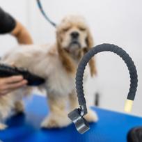 Hanging Neck Dog Hair Dryer Holder Multifunction Non Slip Blow Rack