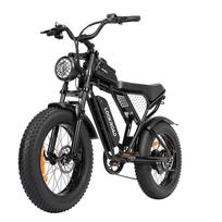 Elektrinis dviratis 1000W 48V/15.6Ah 70km nuotolis 20  7 pavarų LCD Plieno juodas juoda