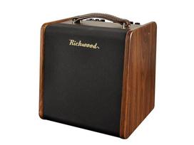 Richwood RAC-50 Acoustic guitar amplifier