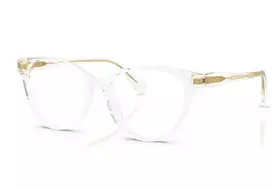 Ralph Lauren 7198U 5002 53 – Akinių rėmeliai Moterims