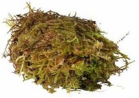HabiStat Sfagninės samanos 1kg