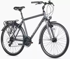 Dviratis Unibike Vision GTS 2026 grey-M / 19"
