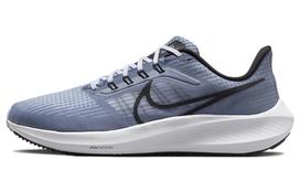 Nike Air Zoom Pegasus 39 Ashen Slate DH4071-401 45
