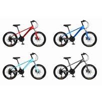 Kalnų dviratis MESERRA 24 colių su diskiniais stabdžiais – MTB dviratis vaikams ir paaugliams