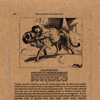 CD Thee Silver Mountain Reveries* – The "Pretty Little Lightning Paw" E.P. (naudota)