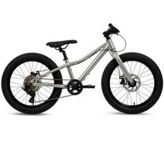 Dviratis MTB Batch Alu 20” silver (B374555W)