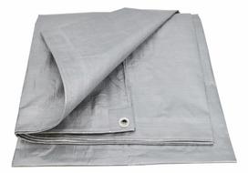 AWTOOLS TENTAS SIDABRINIS 120g 8*10m