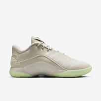 Nike LeBron XXII  - Dydis 44.5 (FZ1094-002 Krepšinio bateliai)