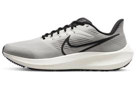 Nike Air Zoom Pegasus 39 'Grey Sail' DH4071-004 44.5