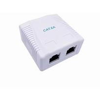 Gembird CABLE ACC MOUNT BOX CAT6A FTP/2P NCAC-2F6A-01 NCAC-2F6A-01
