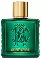 Roberto Cavalli Rc Uomo Verde Assoluto EDP, 100 ml