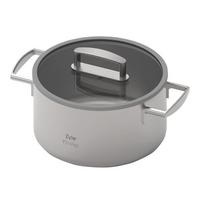 Nerūdijančio plieno puodas Zyle Prestige ZY1730CS, 4,3 l