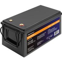 Qoltec Lithium-Iron Phosphate (LiFePO4) Battery | 12.8V | 200Ah | 2560Wh | Battery Management System (BMS)