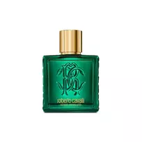 Kvepalai vyrams UOMO VERDE ASSOLUTO EDP vapo 100 ml