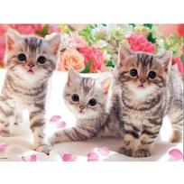 5D DIY Diamond Painting Three cats Cross Stitch Kit Mosaic Diamond Embroidery Rose Full Round/Square Drill Home Decoration Round 20x30cm