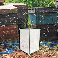 Butterfly Habitat Cage Reusable Large Ornamental for Backyard Yard Farm