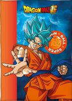 Faro pledas Dragon ball DB36-5571, 140x100 cm