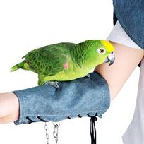 Papūga nuo įbrėžimų pečių apsaugos skara paukščių vystyklai papūgams Cockatiels paukščiams kulkšnies Arm guard mėlyna