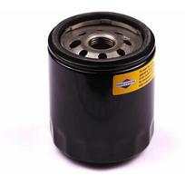 Alyvos filtras Briggs&Stratton