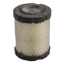 Oro filtras Briggs&Stratton (591583)