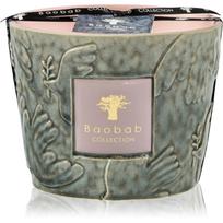 Baobab Collection Paz Colombe kvapioji žvakė 500 g