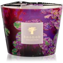 Baobab Collection Arty Flowers Water Lily kvapioji žvakė 500 g