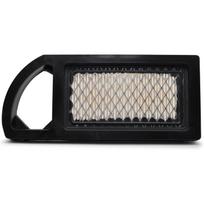 Oro filtras Briggs&Stratton (794421)