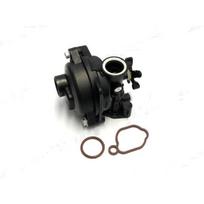 Karbiuratorius Briggs&Stratton (591160)