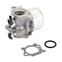 Karbiuratorius Briggs&Stratton (799866)