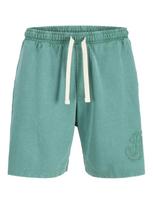 JACK&JONES Vyriški šortai, BILL