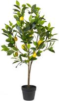 Beliani dirbtinis vazoninis augalas, 105 cm, citrinmedis (501181 Bel)