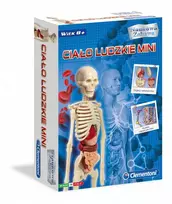 Mini Human body