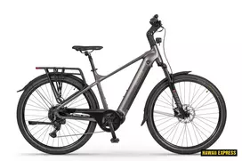 Dviratis 28   ECO MX300 GOLDEN GREY 36V 900 Wh grey eco  - l