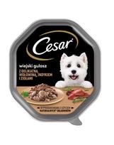 CESAR 14 x 150 g visavertis šlapias ėdalas suaugusiems šunims padaže su švelnia jautiena, kalakutiena ir žolelėmis 7+7 NEMOKAMAI