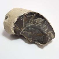 Natūralus Titnagas. Titnago akmuo. 0676